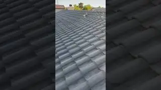 How to inspect a tile roof #roofing #construction #roofingcontractor #diy #contractor