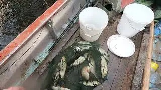День России \ Утренняя проверка продольников \ Раколовка ловит 