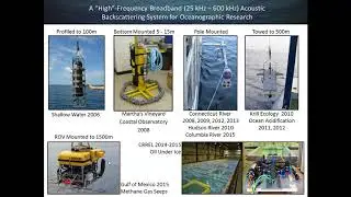 Environmental Acoustics: Acoustic Scattering Techniques