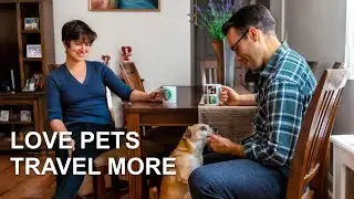 Why You Should Try Housesitting? Free Travel!