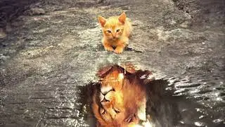 Meet Your Higher Self | Inner Awareness, Guidance & Mental Clarity | Deep Sleep Meditation Music