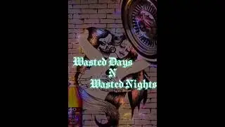 MC ERBS - Wasted Days n&rsquo; Wasted Nights (Prod. By Greeneyes)