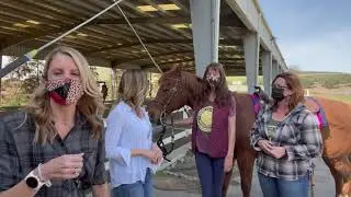 Livermore Bucket List: Reins in Motion
