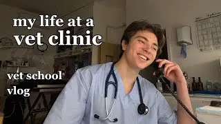 new year's eve in a vet clinic is wild | vet school vlog