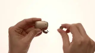 Baha&reg; 5 Power Sound Processor - Changing battery
