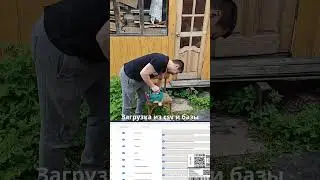 Пилю IT сервис marketmc.ru на коленке из php и палок