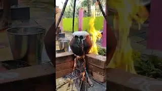 Pongal celebration 2024✨⚡🪔🧨🎀🪅 #temple #pongalvlog #pongalcelebration #pongal2024 #pongal #2024pongal