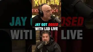 &ldquo;I got drugged by three of my closest friends&rdquo; #arishaffir #shanemgillis #joeroganexperience