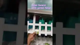 White garden plastic fence from dollar general.