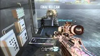 insane 1440