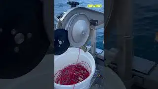 OILWIND e-Winch out on sea with Hjaltur