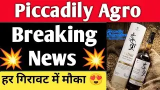 Piccadily Agro Share Latest News 💥 Piccadily Agro Latest Update 🤑 #piccadilly #stockmarket #stocks
