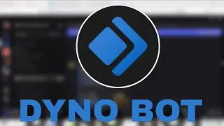 How To Setup Dyno Bot Discord MASTERCLASS