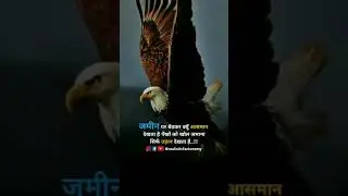 Attitude | inspirational | success | motivational | positive | failure | quotes | in hindi | shorts