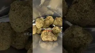 COOKIES WEED STRAIN REVIEW [THAT BADU]