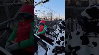 The Snowboarding Moo 🥛🐮🥛 #insta360 #cow #silly #goofball #snowboarding