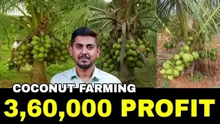 Coconut Farming Details In Telugu | By HVR 