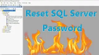 How to Reset SQL Server Password (Step by Step Guide)