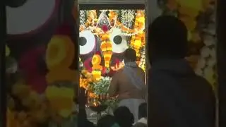 Live Sandhya Aarti Darshan of Prabhu Shree Jagannath | Jagannath Puri Evening Darshan Today