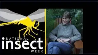 [Podcast] Jane Memmott - Urban Pollinators
