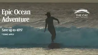 Plan Your Epic Ocean Adventure to Nova Scotia on The CAT