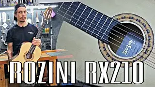 AN&Aacute;LISE ROZINI RX210
