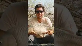 Keine einfachen Bedienungen f&uuml;r Thomas und Georg in Italien  @hirschbauer #carp  #wallerwelt2