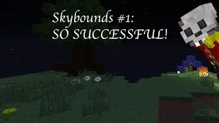 Skybounds #1: [SO SUCCESSFUL!]
