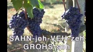 Sangiovese Grosso as Spoken by Federico Marconi
