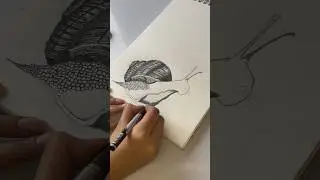 Beautiful Snail Drawing @MicArts21 #art #drawing #shorts #sketch #snail #trending #youtubeshorts