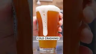 Cold Crashing Beer!
