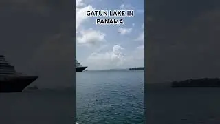 Gatun Lake in Panama Canal #panama #shortsvideo #short #ship #canal