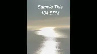 SAMPLE THIS 134 BPM #producertok #sampletype #samplethis #134BPM