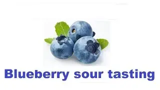 Blueberry sour beer tasting