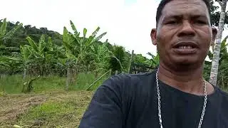 #Bahia#vamos tomar água de coco
