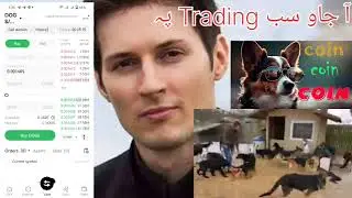 dogs coin listing
