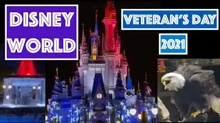 Disney World Veteran's Day 11/11/2021 Video