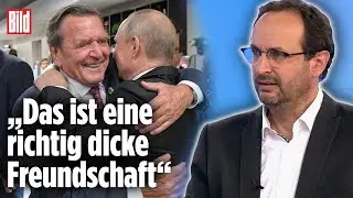 Gerhard Schr&ouml;der: Der Schattenmann von Putin | Peter Tiede bei BILD Live