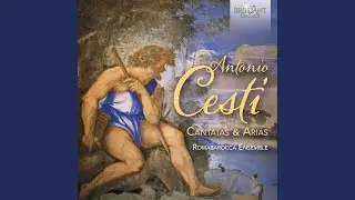 Sonata for Violone and B.C. In F Major: I. Presto allegro