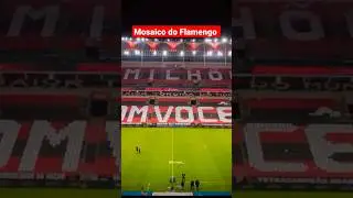 Prepara&ccedil;&atilde;o do Mosaico do Flamengo #shorts #flamengo