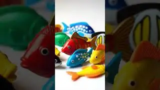 Colorful fish toys