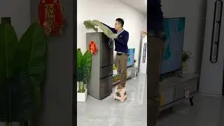 New Look!🥰New Viral Gadgets, Smart Kitchen Appliances, Tools, Utensils, Home Cleaning/Beauty #shorts