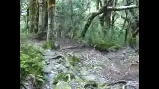 Aspiring to French Ridge Hut.avi