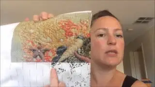 The Simple Stitcher.  Cross Stitch Video #1   WIP Update