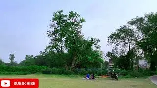 Morning Nature Gopalnagar School Ground