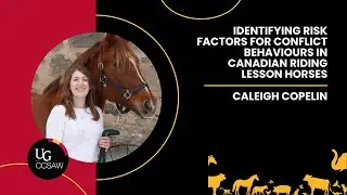 Identifying risk factors for conflict behaviours in Canadian riding lesson horses by Caleigh Copelin