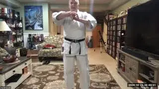 JSKA Rochester Virtual Dojo 10/19/24  Shifting in stances, Heian 1 Variation, side snap strength