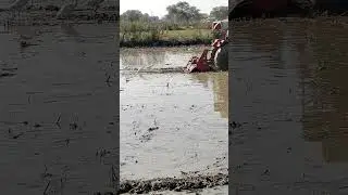 Birds farmer's best friend #farming #villagelife #village #birds #farm #rotovator