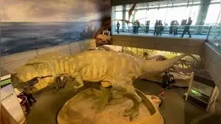 Museum Of Science || Boston Massachusetts || USA