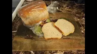 Sandwich Bread